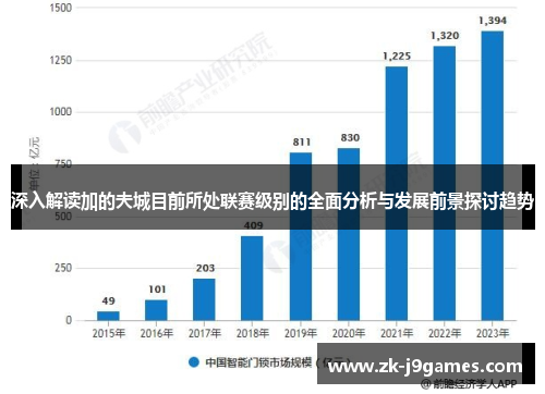 深入解读加的夫城目前所处联赛级别的全面分析与发展前景探讨趋势